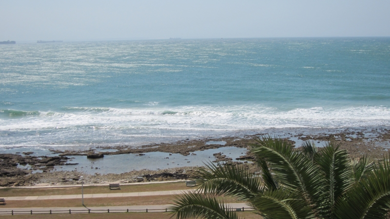 1 Bedroom Property for Sale in Summerstrand Eastern Cape